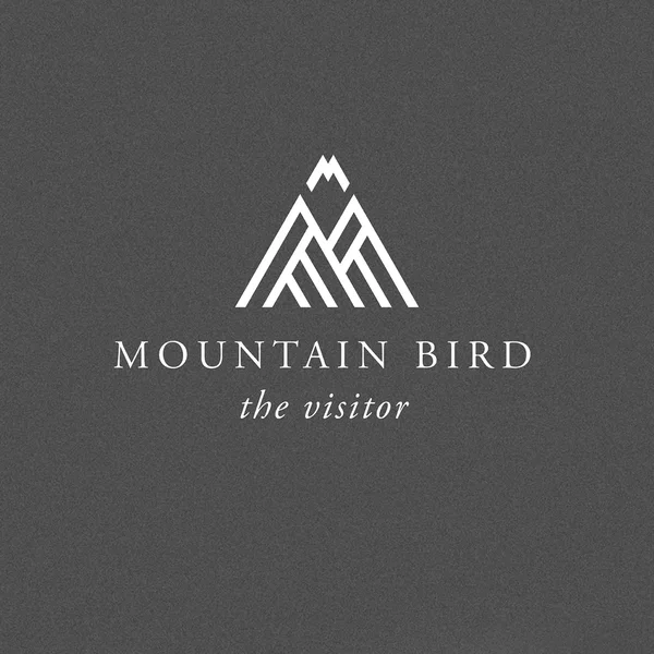 The Visitor