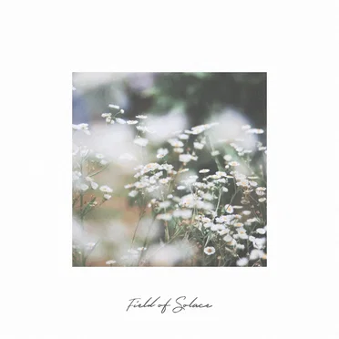 Field of Solace