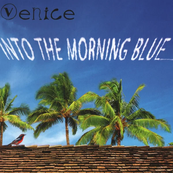 Into the Morning Blue