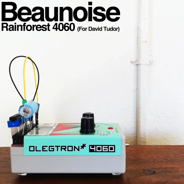 Rainforest 4060 (For David Tudor)
