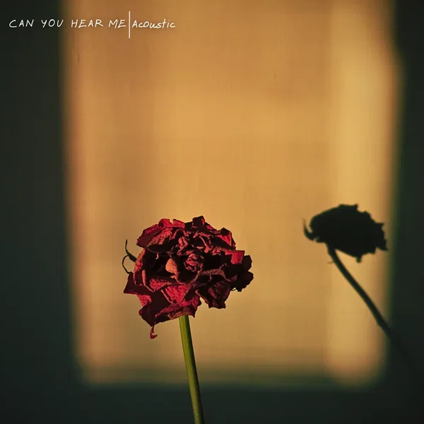 Can You Hear Me