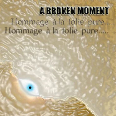 Hommage à la folie pure... by A Broken Moment - album cover