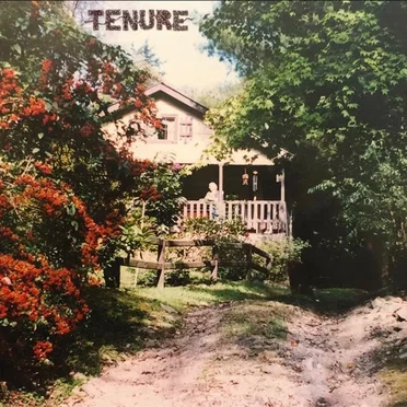 Sink by Tenure - album cover