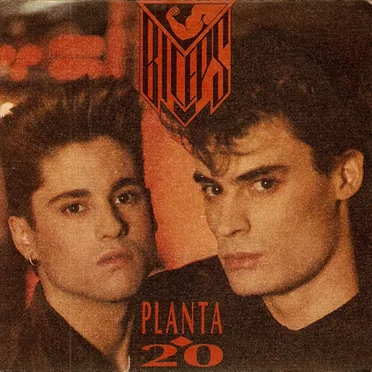 Planta 20