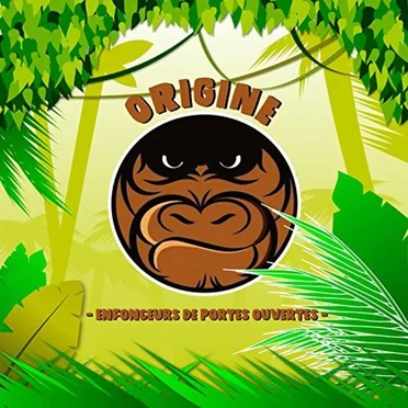 Enfonceurs De Portes Ouvertes by Origine - album cover