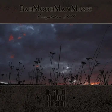 BadMoodMan Music Compilation 2010 by Various Artists - album cover