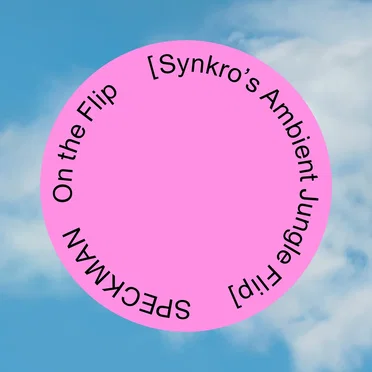 On the Flip (Synkro`s ambient jungle Flip)