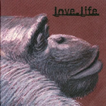 Love.Life Compilation by Various Artists - album cover