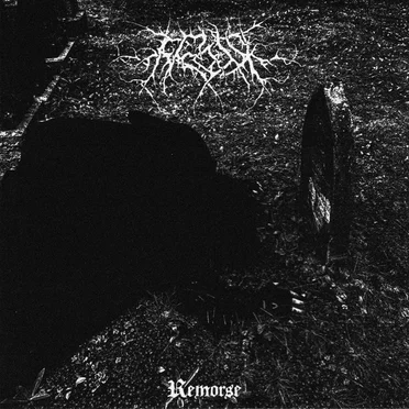 Remorse by Frosk - album cover