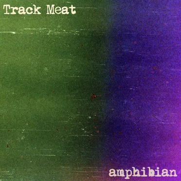 Amphibian