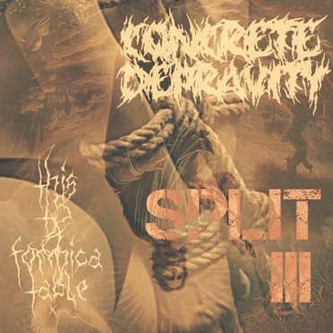 Split III