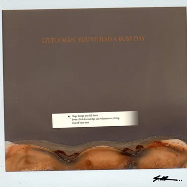 Little Man, You've Had a Busy Day by s.al - album cover