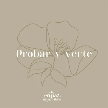 Probar y Verte (Violín Instrumental) by En Paz Me Acostaré - album cover