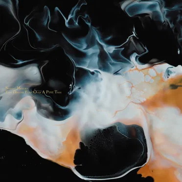 Two Dreams Flew Over A Pine Tree by Shingo Mimura - album cover