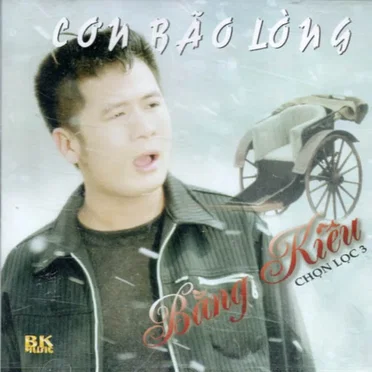 Cơn bão lòng