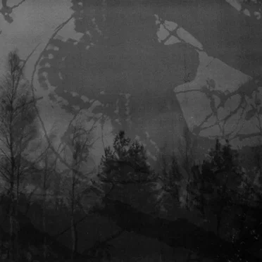 Inmitten des Waldes / Mortualia