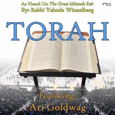 Torah by Rabbi Yehuda Winzelberg - album cover