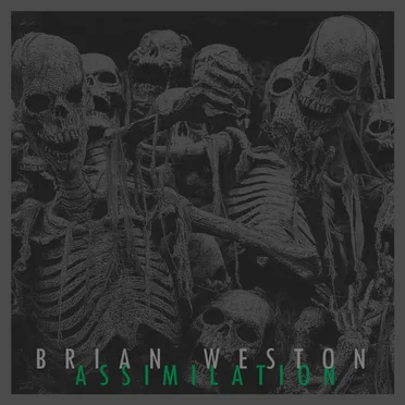 Assimilation