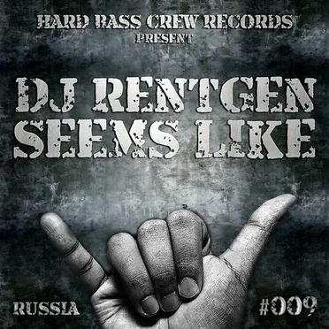 Seems Like by DJ Rentgen - album cover