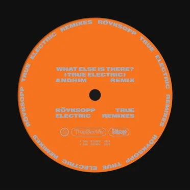 What Else Is There? (andhim extended remix)