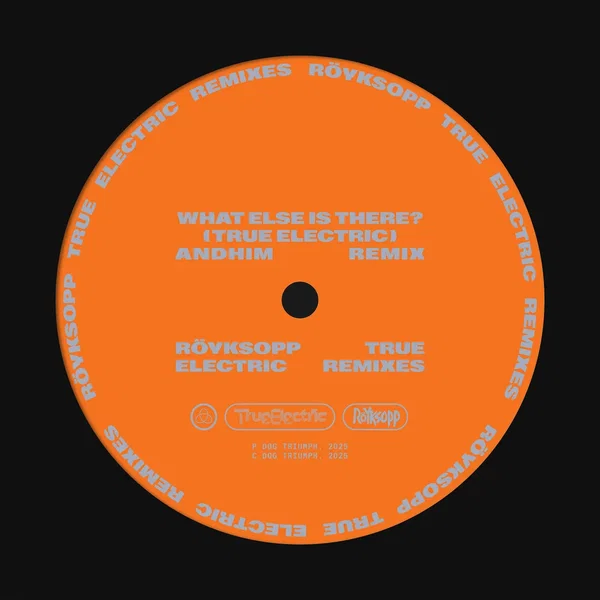 What Else Is There? (andhim extended remix)