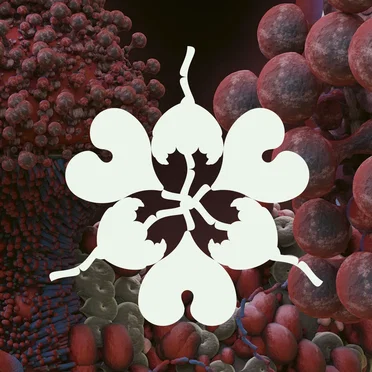 Ovule (Sega Bodega remix)