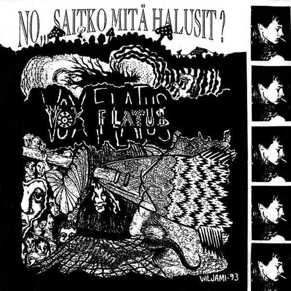 No, saitko mitä halusit?