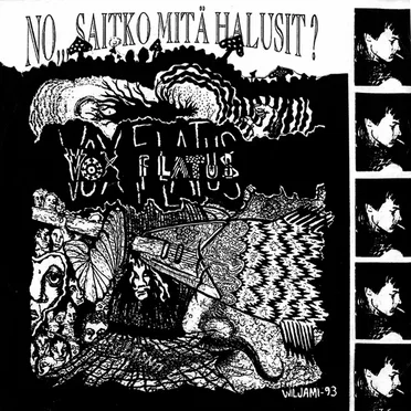 No, saitko mitä halusit?