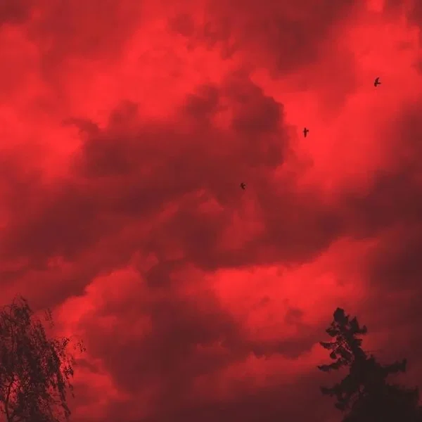 the red planet