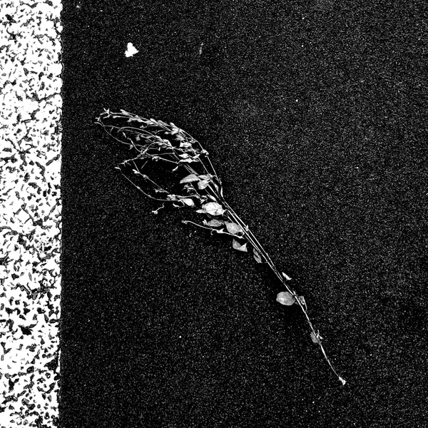In Distant From