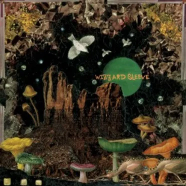 Wizzard Sleeve