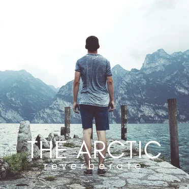 The Arctic