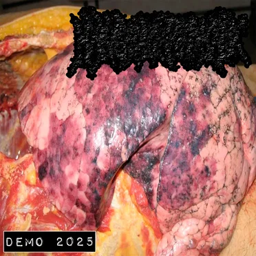 Demo 2025