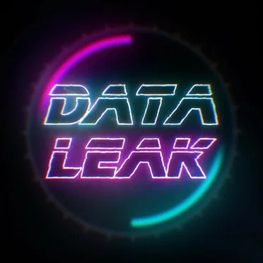 Data Leak