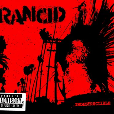 Indestructible