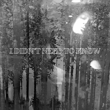 I didn't need to know