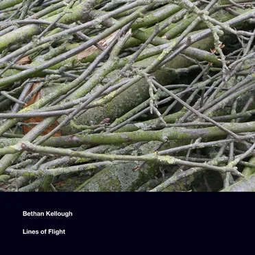 Lines of Flight