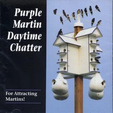 Purple Martin Daytime Chatter by Purple Martin Conservation Association - album cover