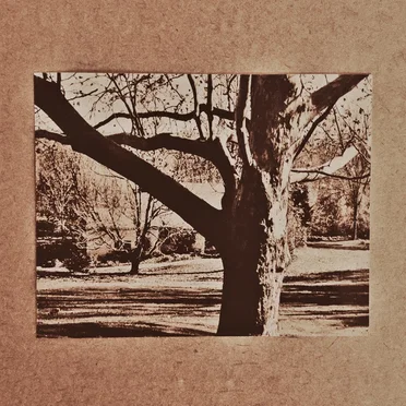 Demo Four