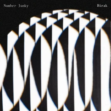 Birak by Number Junky - album cover