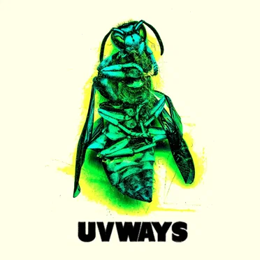 Chasing the Rat by UVWAYS - album cover