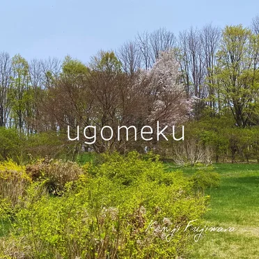 ugomeku by Kenji Fujiwara - album cover