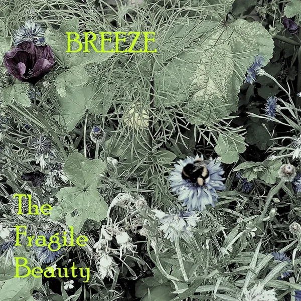 The Fragile Beauty