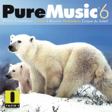 Pure Music 6 by Various Artists - album cover