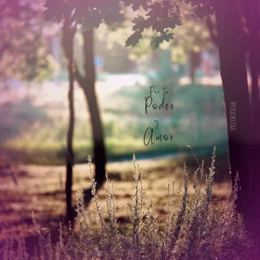 Por Tu Poder y Amor by Emoción Desigual - album cover