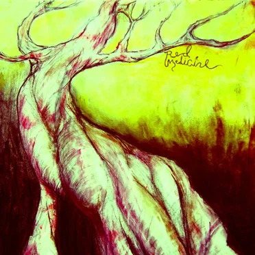 Ancient Cartography by Red Medicine - album cover