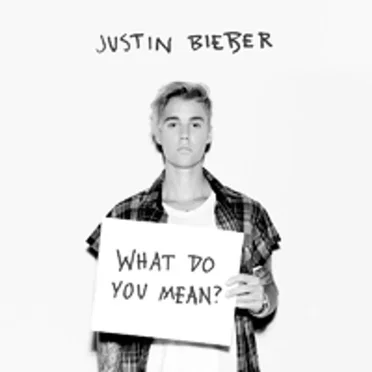 What Do You Mean?