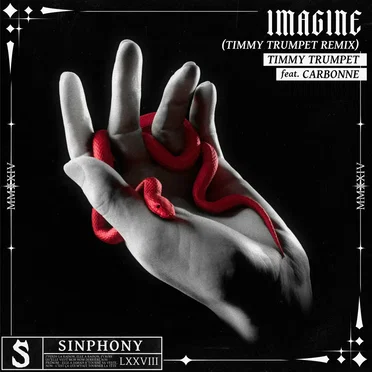 Imagine [Timmy Trumpet]