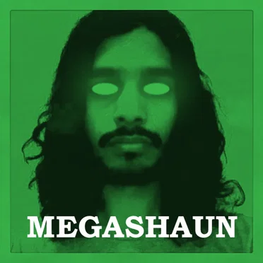 CLEAN MY DUCTS by Megashaun - album cover