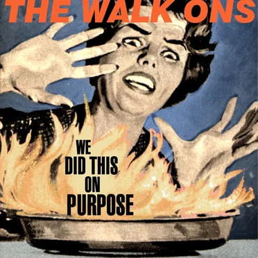 We Did This on Purpose by The Walk Ons - album cover